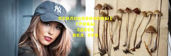 альфа пвп Нея