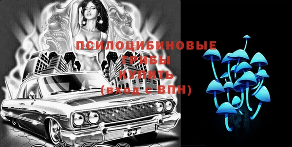 прущая мука Надым