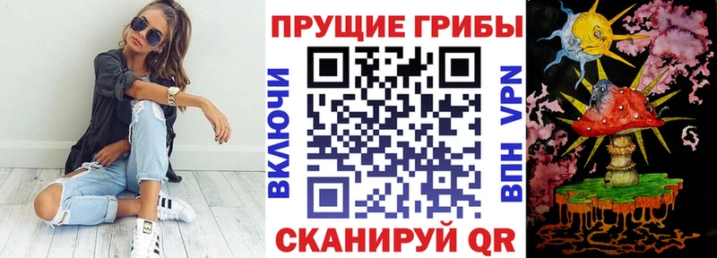 Купить закладки  Сибай  Галлюциногенные грибы ЛСД 