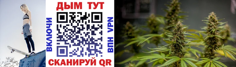 Купить закладки  Сибай  Каннабис MAZAR 